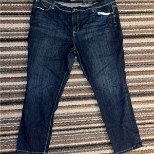 Women’s Size 22WS Plus Size Skinny Jeans.